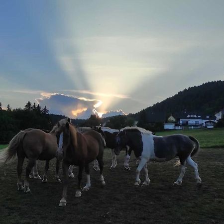 Ferienwohnung Am Tor Zum Thueringer Wald Plaue  Bagian luar foto