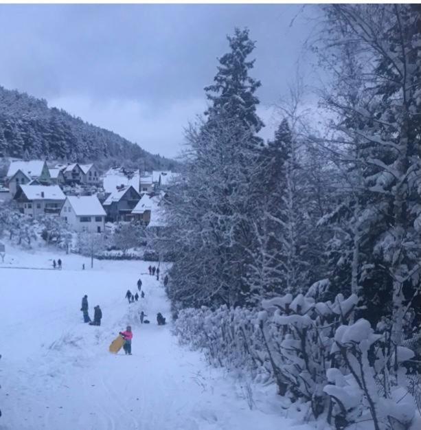 Ferienwohnung Am Tor Zum Thueringer Wald Plaue  Bagian luar foto